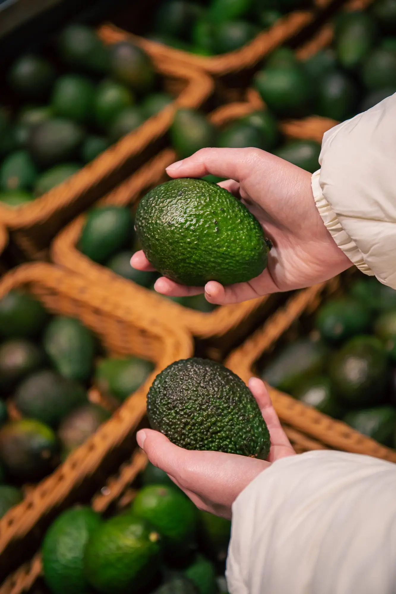 avocado-k8hAGtZT
