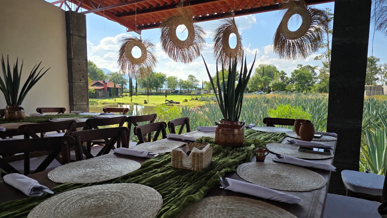 WhatsApp Image 2026-02-16 at 7.43.21 PM